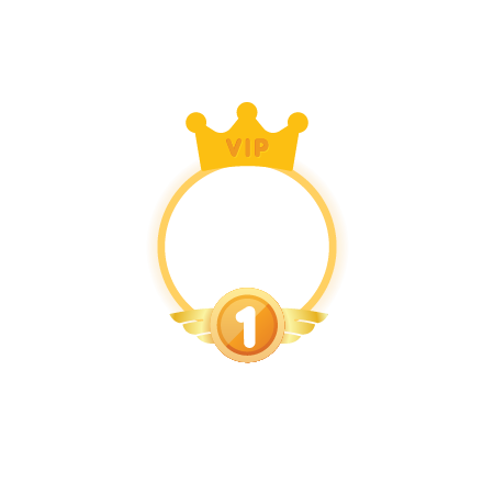 vip_frame